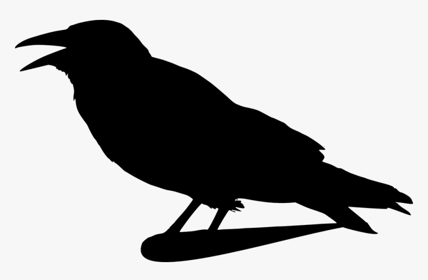 Crow Clip Art, HD Png Download