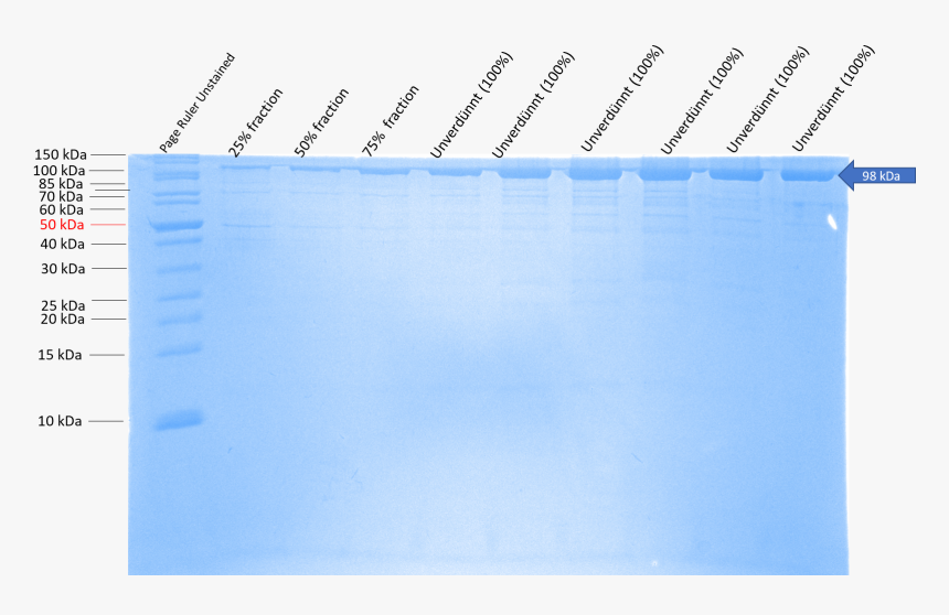 Document, HD Png Download