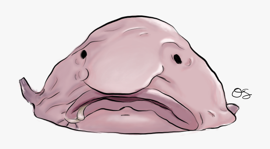 Thumb Image - Drawing Of A Blobfish, HD Png Download