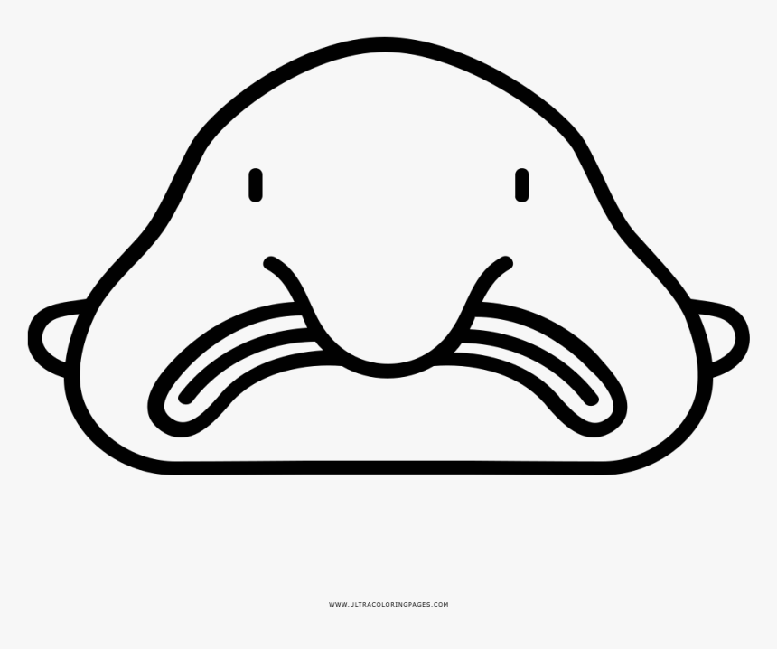 Blobfish Coloring Page - Printable Blobfish Coloring Page, HD Png Download