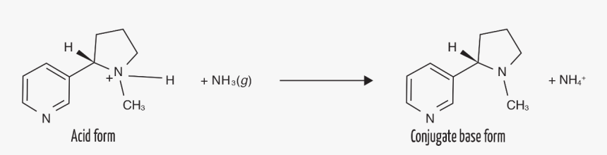 Parallel, HD Png Download