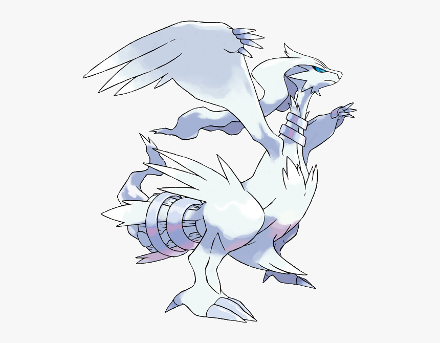Reshiram Pokemon, HD Png Download