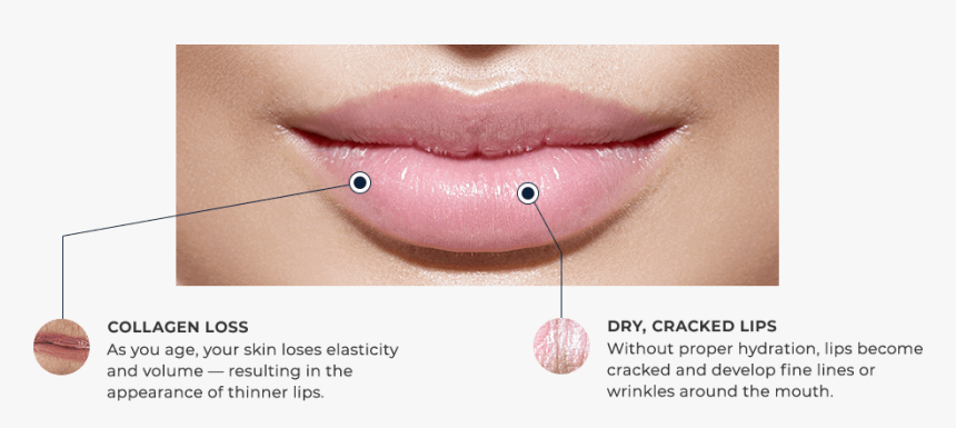 Close-up, HD Png Download