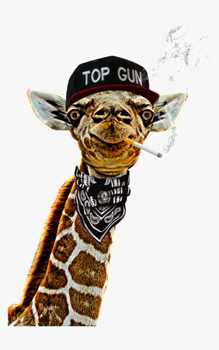 #freetoedit #ggiraffe #giraffestickerremix #neckgameonpoint - Giraffe, HD Png Download