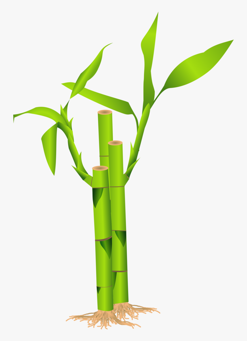 Bamboo Clipart, HD Png Download