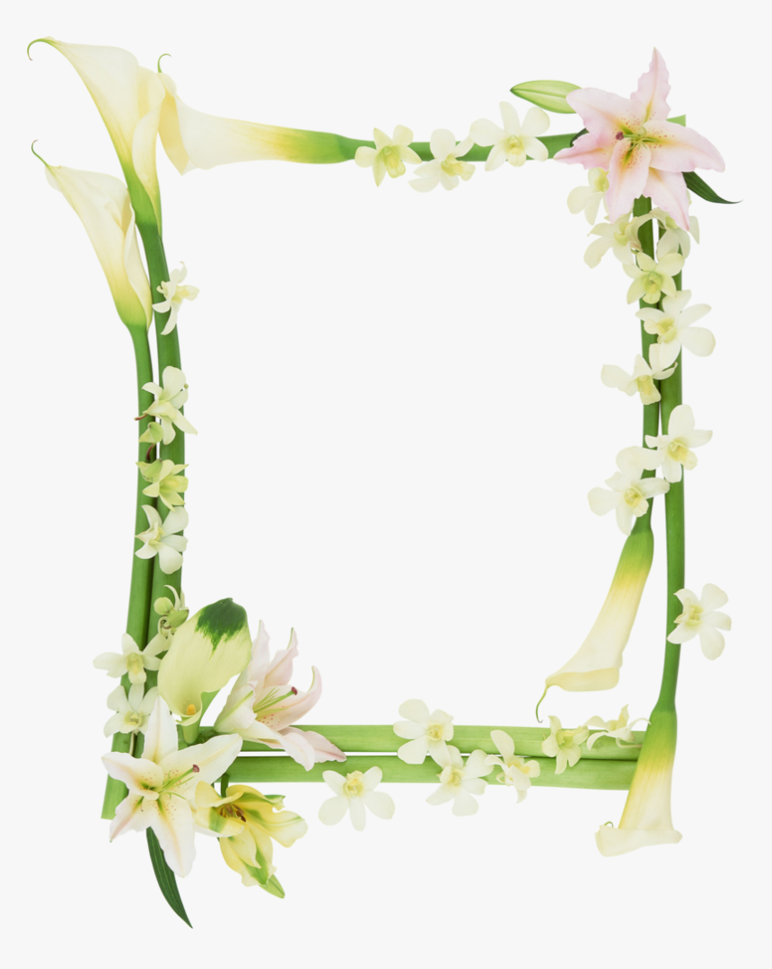 Bamboo Design Frame Png, Transparent Png