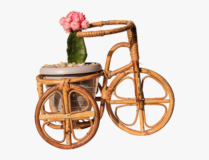 Framed Art For Your Wall Trim Cactus Bamboo Bike Graft - Bicicleta De Jardim Png, Transparent Png