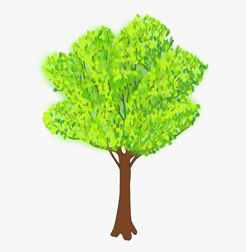 Tree In Summer - Summer Tree Clip Art, HD Png Download