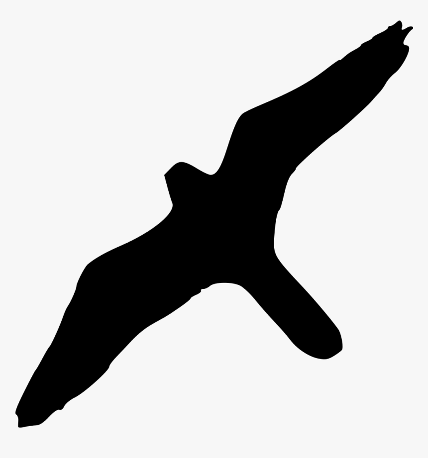 Albatross Bird Clipart Transparent Background, HD Png Download
