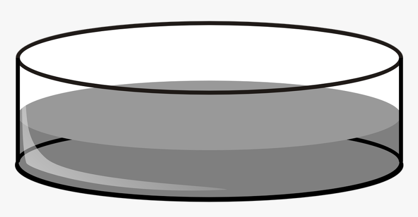 Petri Dish Deep Lab - Petri Dish Black And White, HD Png Download