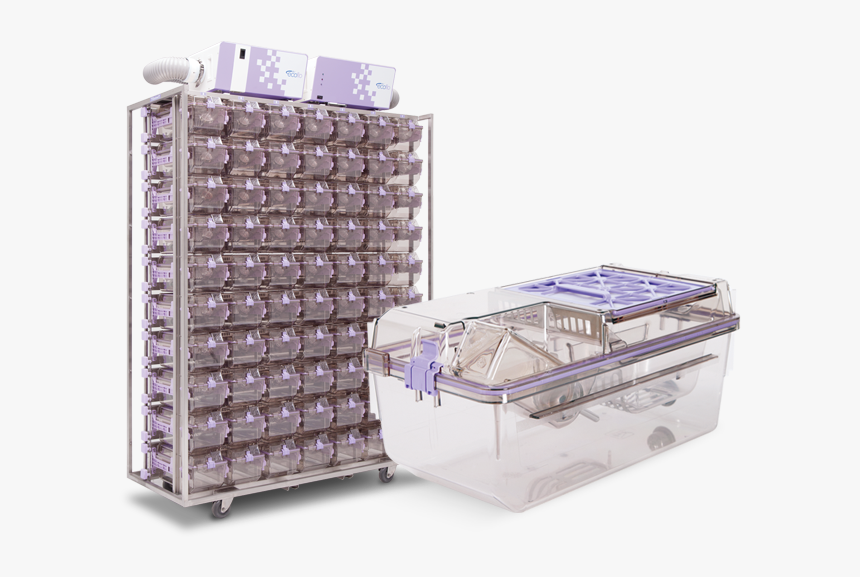 Box, HD Png Download