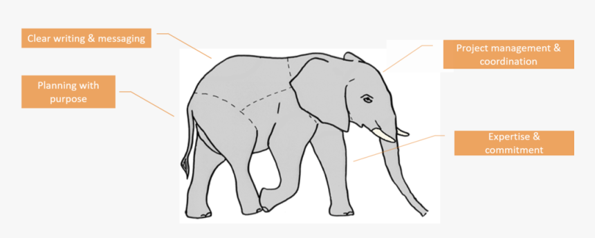 Parts Of An Maa “elephant” - Indian Elephant, HD Png Download