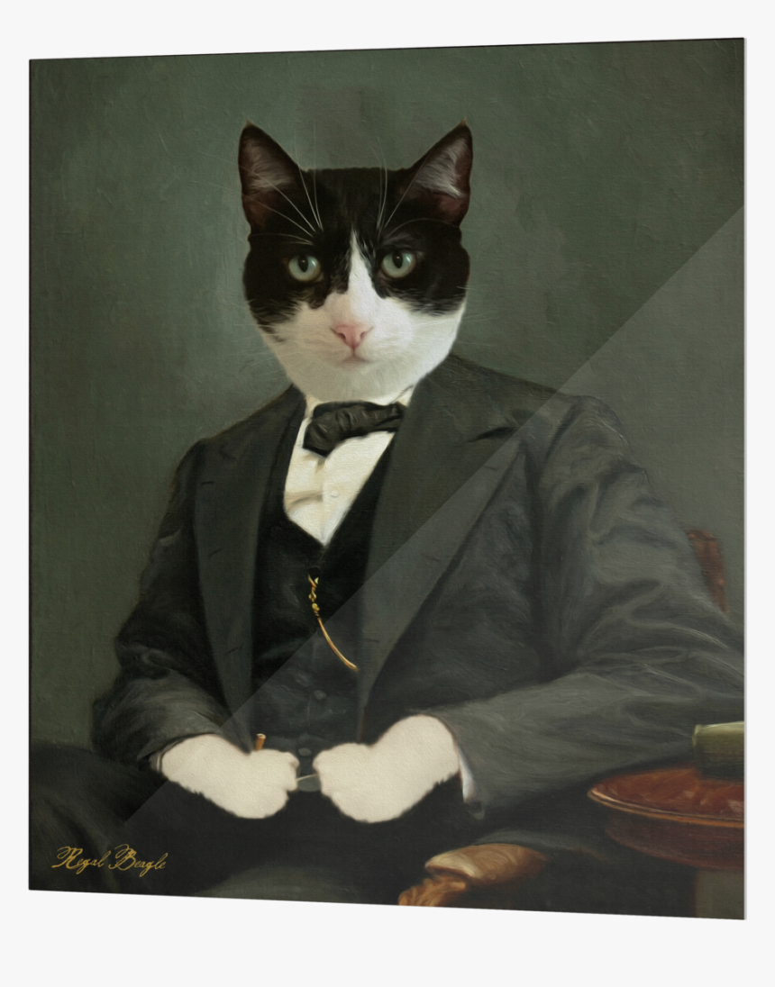 Metal3 - Domestic Short-haired Cat, HD Png Download