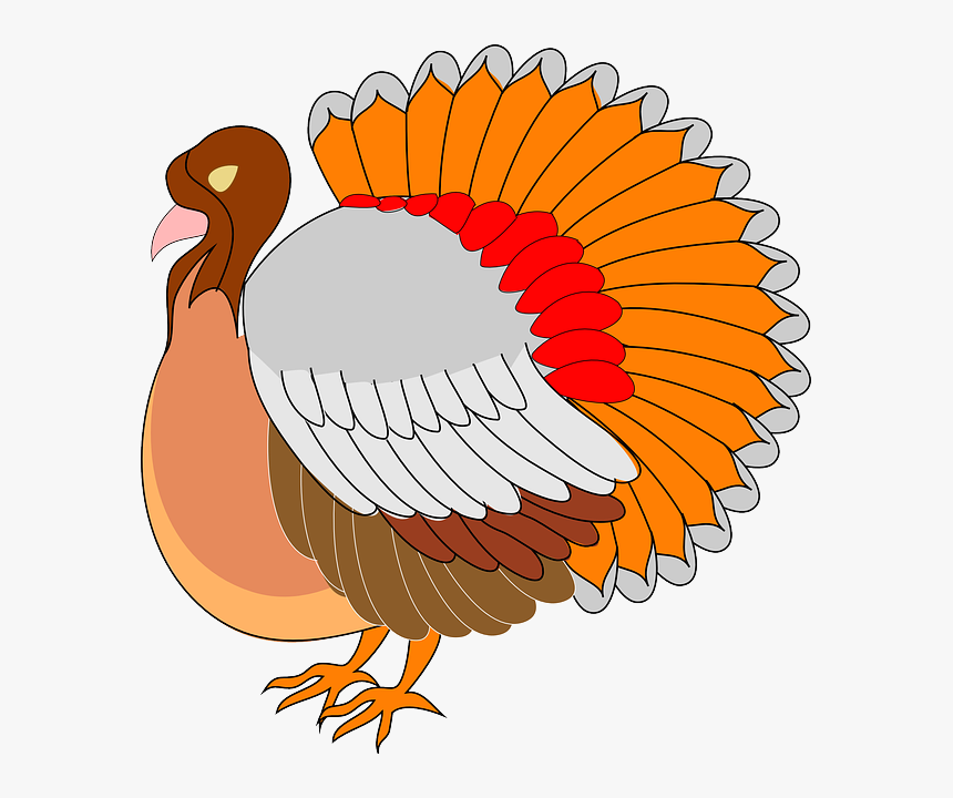 Dibujos Animados De Pavos, HD Png Download