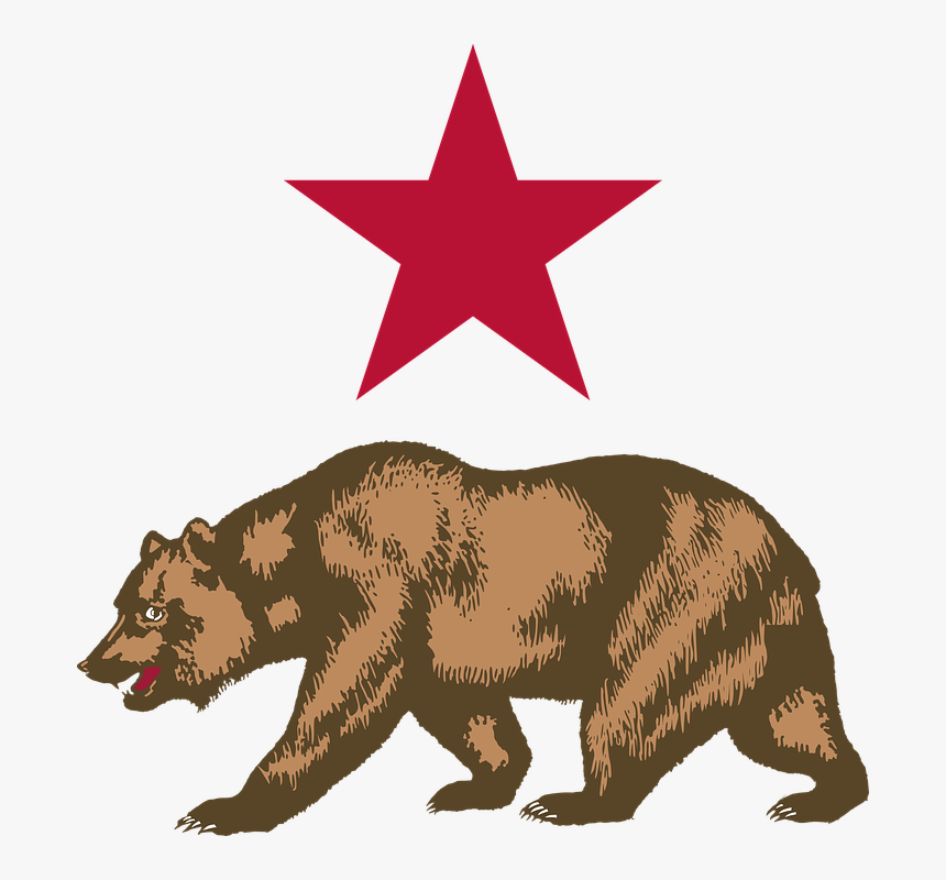 Thumb Image - California Bear Png, Transparent Png