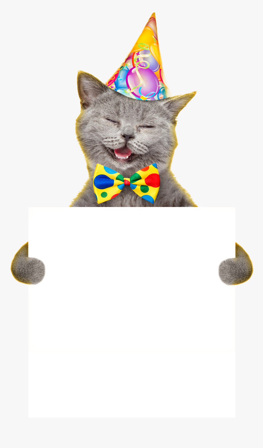 Cat Yawns, HD Png Download