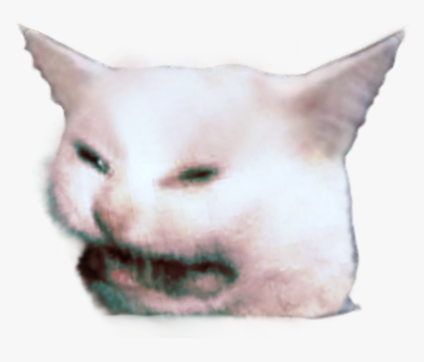 Devon Rex Kitten Whiskers Cat Felidae Small To Medium-sized - Cat Yawns, HD Png Download
