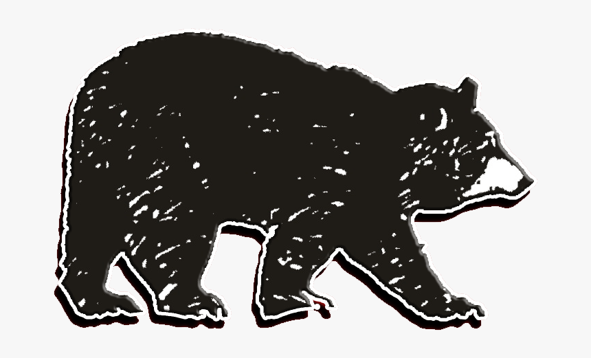 American Black Bear, HD Png Download