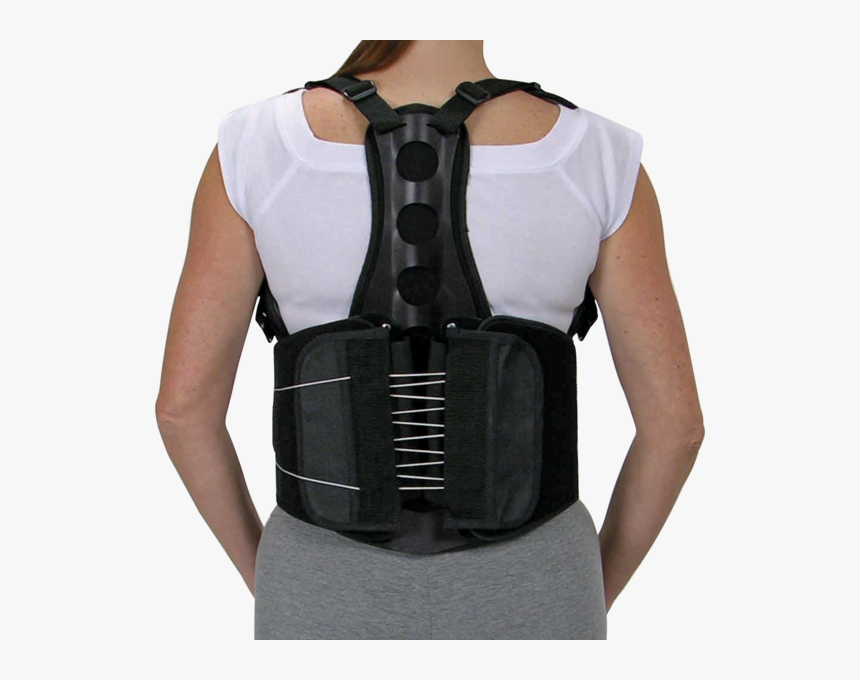Northeast Orthotics And Prosthetics Orthomerica Eco - Ceinture Lombaire Avec Bretelles, HD Png Download
