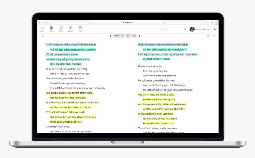 Wizytówka Google, HD Png Download