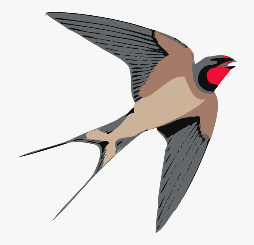 Neck,beak,songbird - Swallow Clipart, HD Png Download