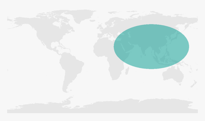 Wcrp Regional Activities In Asia - World Map, HD Png Download