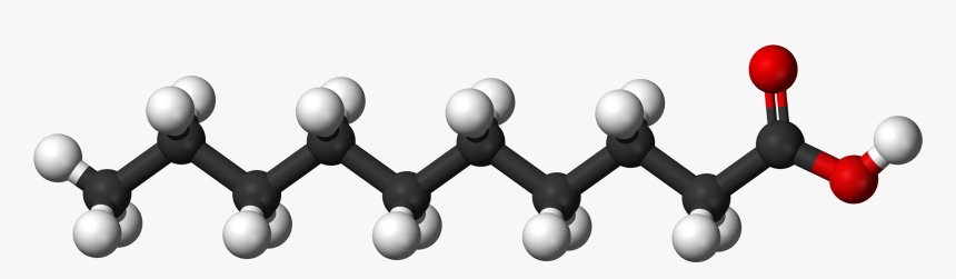 File - Decanoic Ac - Fatty Acid Ball And Stick, HD Png Download