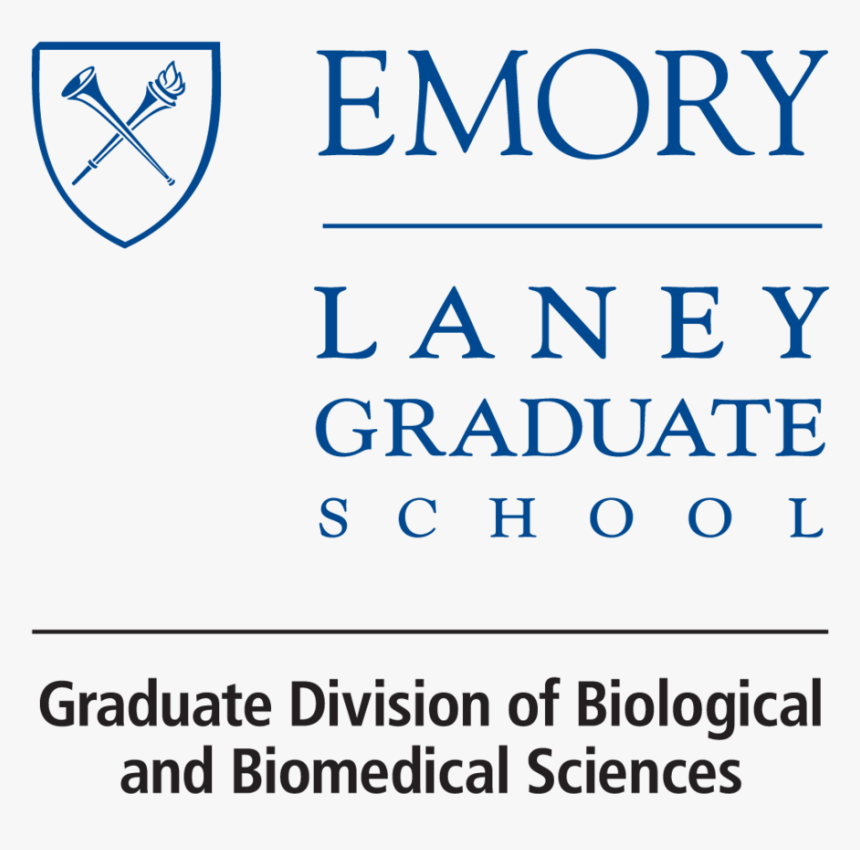 Hitler Hair Png , Png Download - Emory University, Transparent Png
