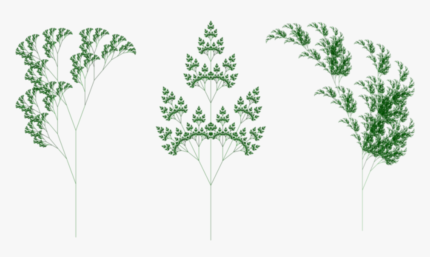 Fractal Plants Bottom Three - Bouquet, HD Png Download