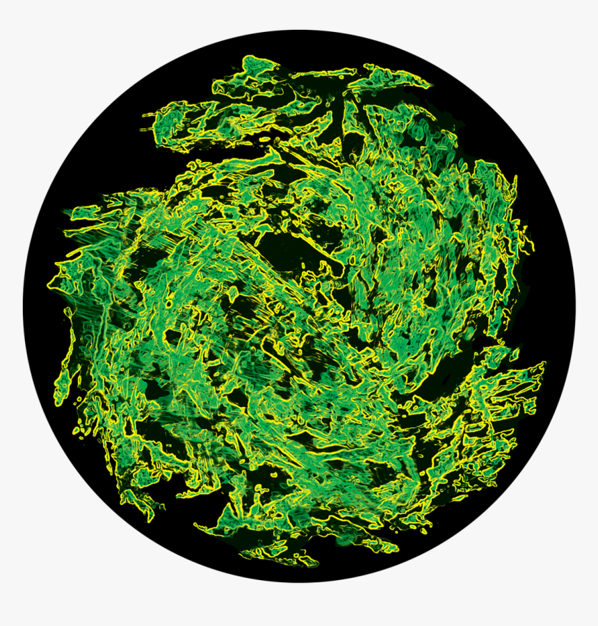 Apollo Swamp Organism - Circle, HD Png Download