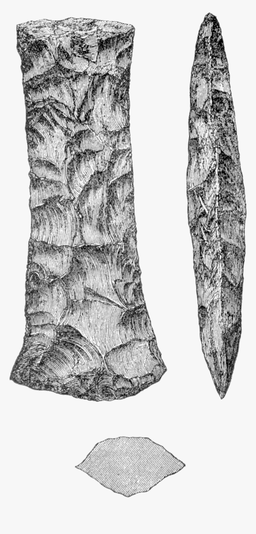 The Ancient Stone Implements 0096a - Sketch, HD Png Download