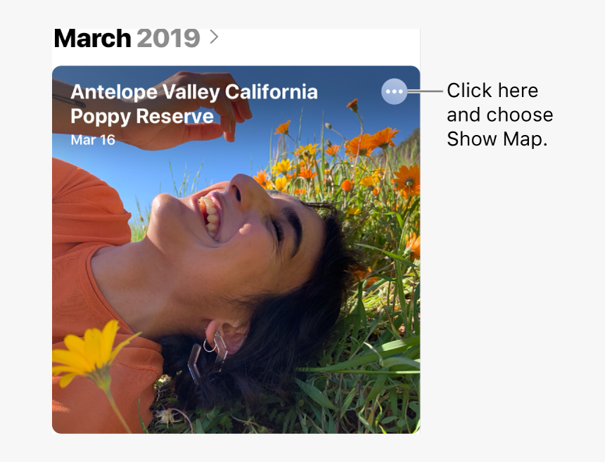 A Photo Representing Photos Taken On A Particular Day, - Photograph, HD Png Download