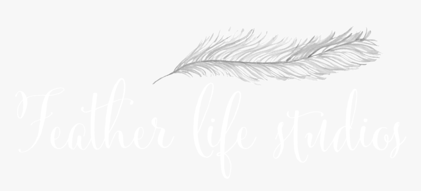 White Feather Png, Transparent Png