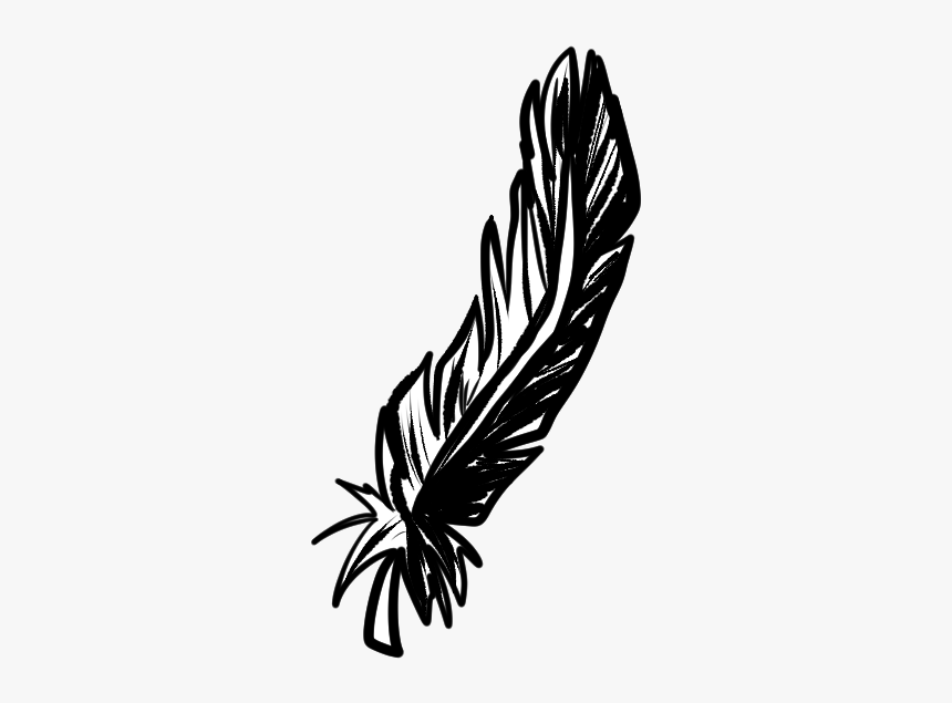 Feather - Illustration, HD Png Download