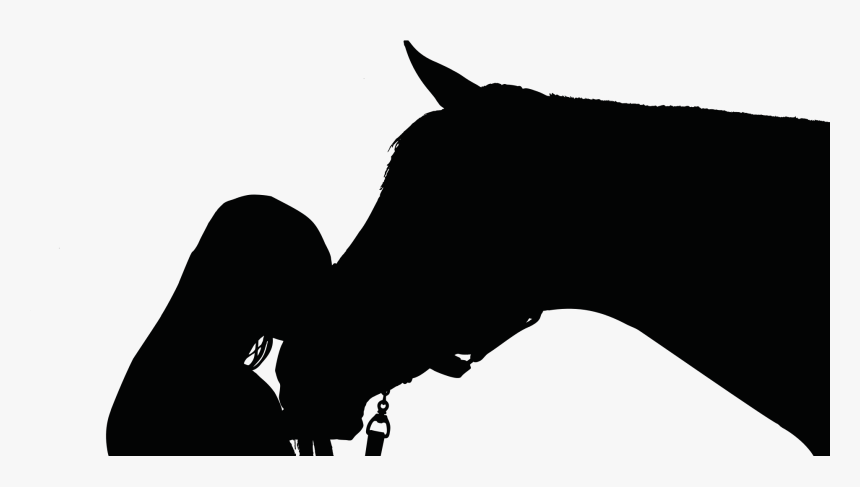 Horse And Person Silhouette, HD Png Download