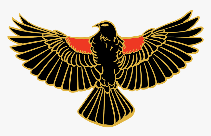 Red Winged Black Bird - Colour Wheel Eugene Chevreul, HD Png Download