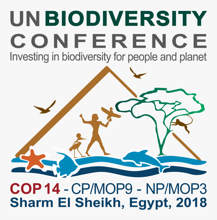 Egypt Cop14 Logo Final Text Topbottom - International Day For Biological Diversity 2019, HD Png Download