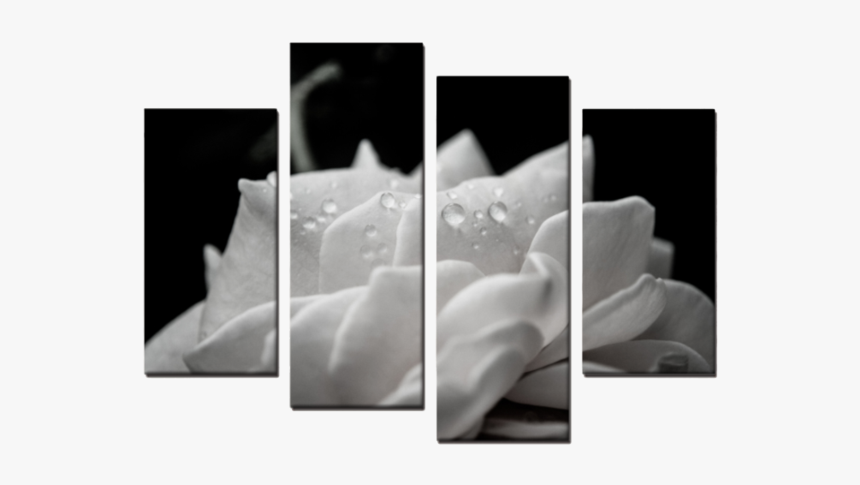 Atardecer Con 4 Elefantes, HD Png Download