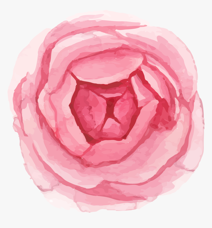 Persian Buttercup, HD Png Download