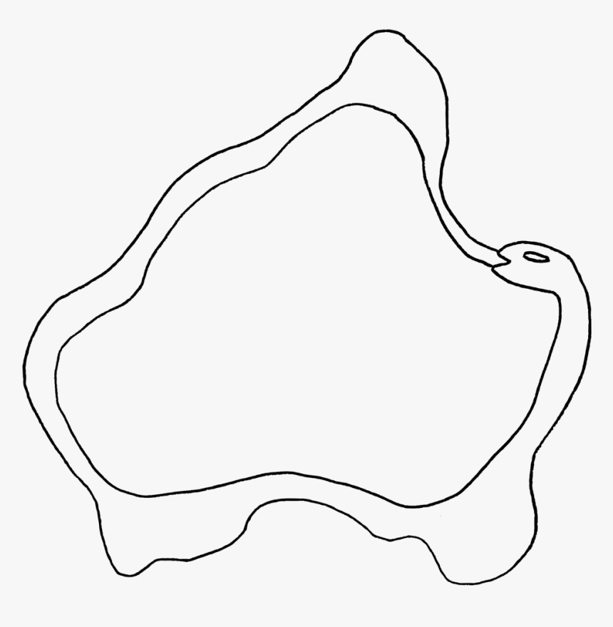 Snake - Line Art, HD Png Download