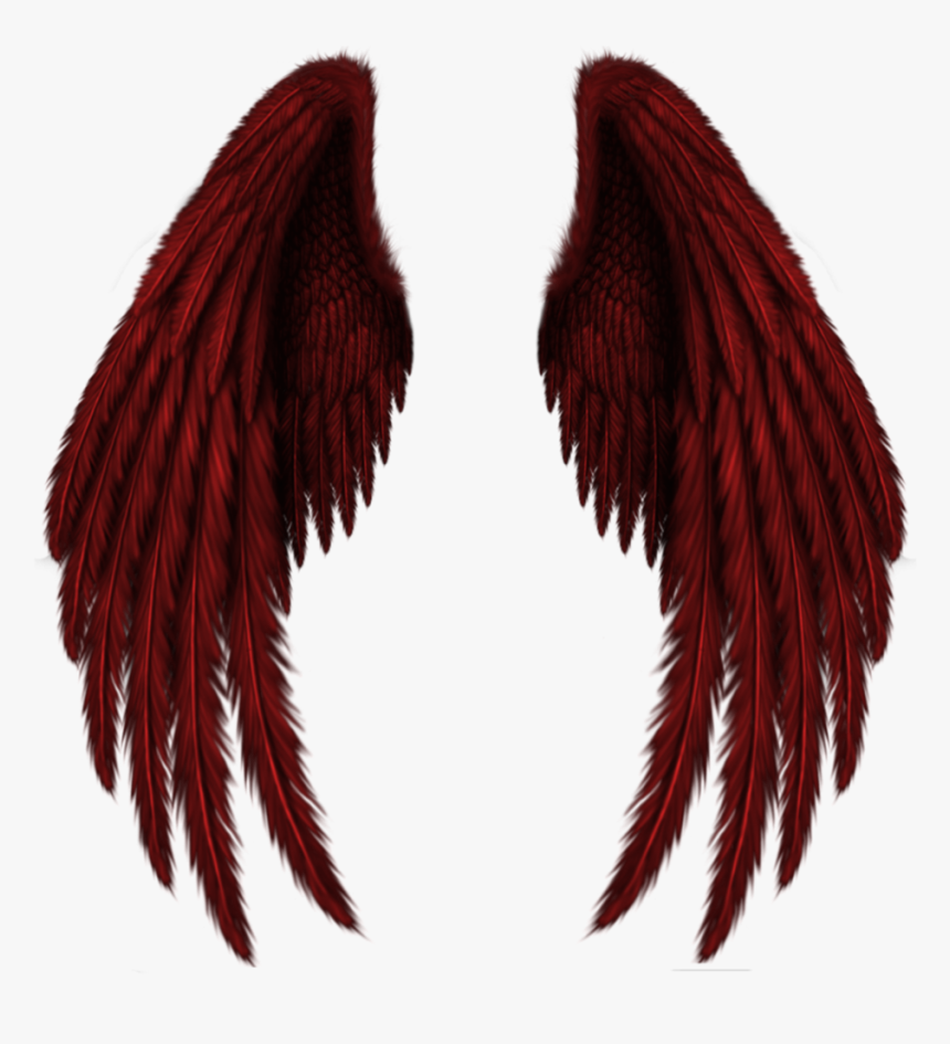Wings Png Image - Black Angel Wings Png, Transparent Png