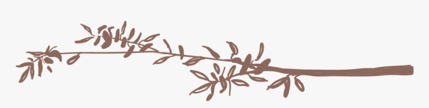 Twigs 2-01 - Calligraphy, HD Png Download