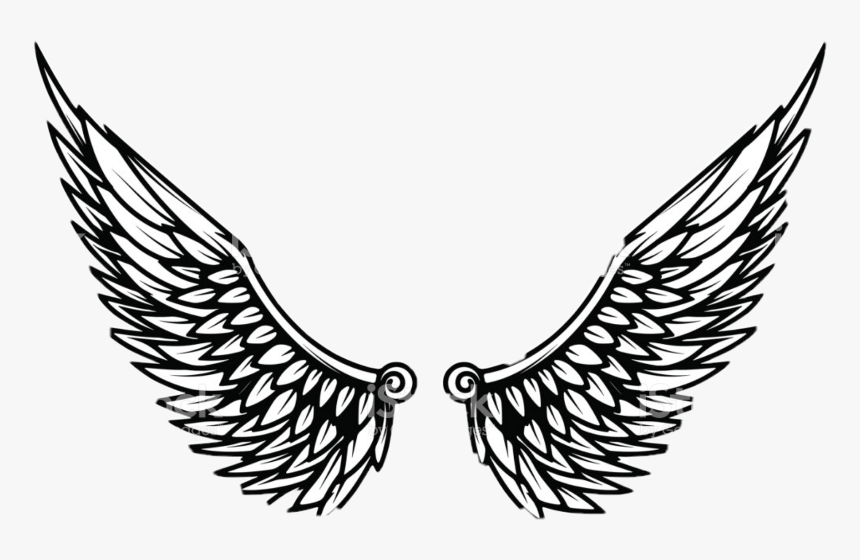 Eagle Wings Template Clipart , Png Download - Clip Art Eagle Wings, Transparent Png