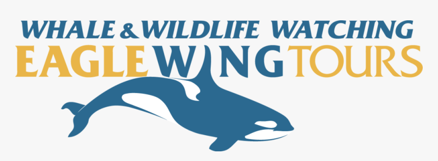 Eagle Wings Tours, HD Png Download
