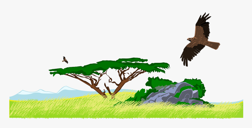 Jungle Clip Art, HD Png Download