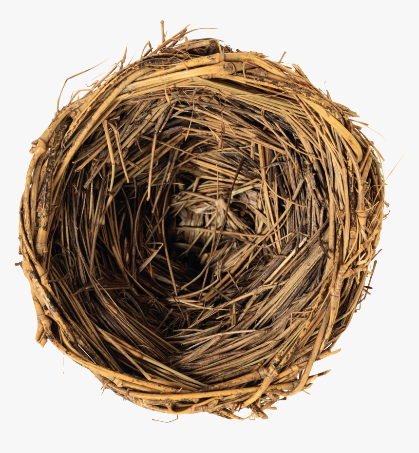 Nest Png - Spring Season Facts, Transparent Png