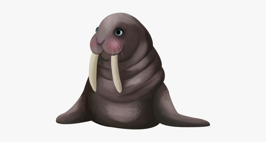 #walrus #freetoedit - California Sea Lion, HD Png Download