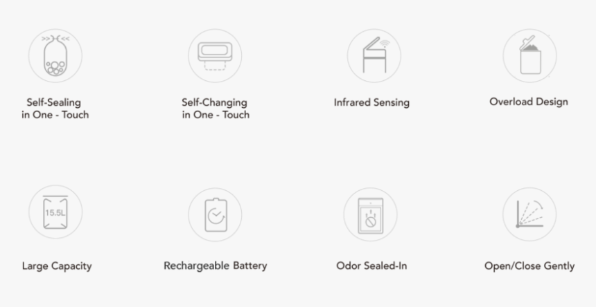 Circle, HD Png Download