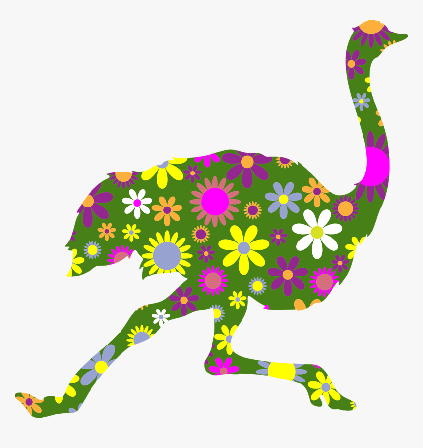 Common Ostrich, HD Png Download