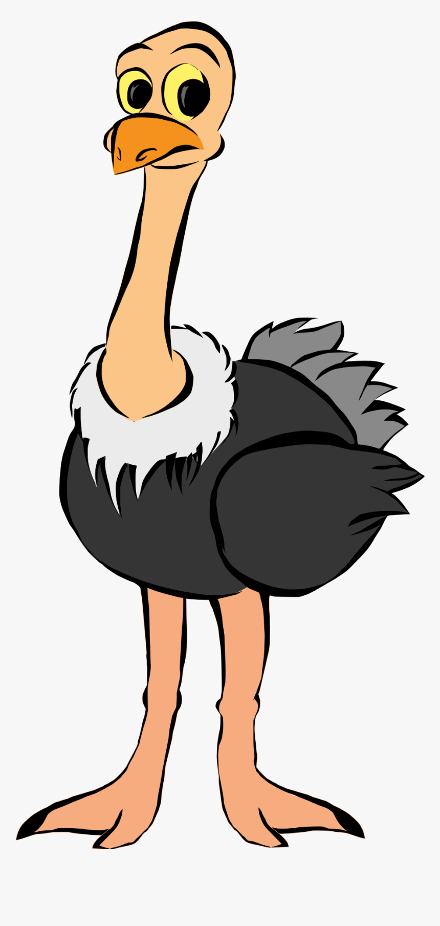 Gallery Of Kisspng Common Ostrich Bird Clip Art African - Ostrich Clipart Png, Transparent Png